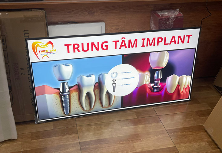 khung tranh điện treo tường 60x120cm